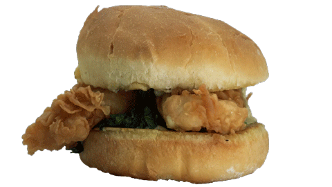 Bouncing burger